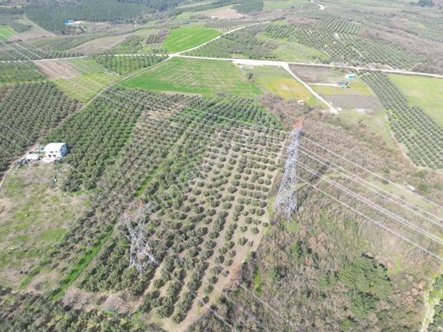 Bursa Mudanya Dedeköy'de Satılık Bağ-zeytinlik - Görsel 7