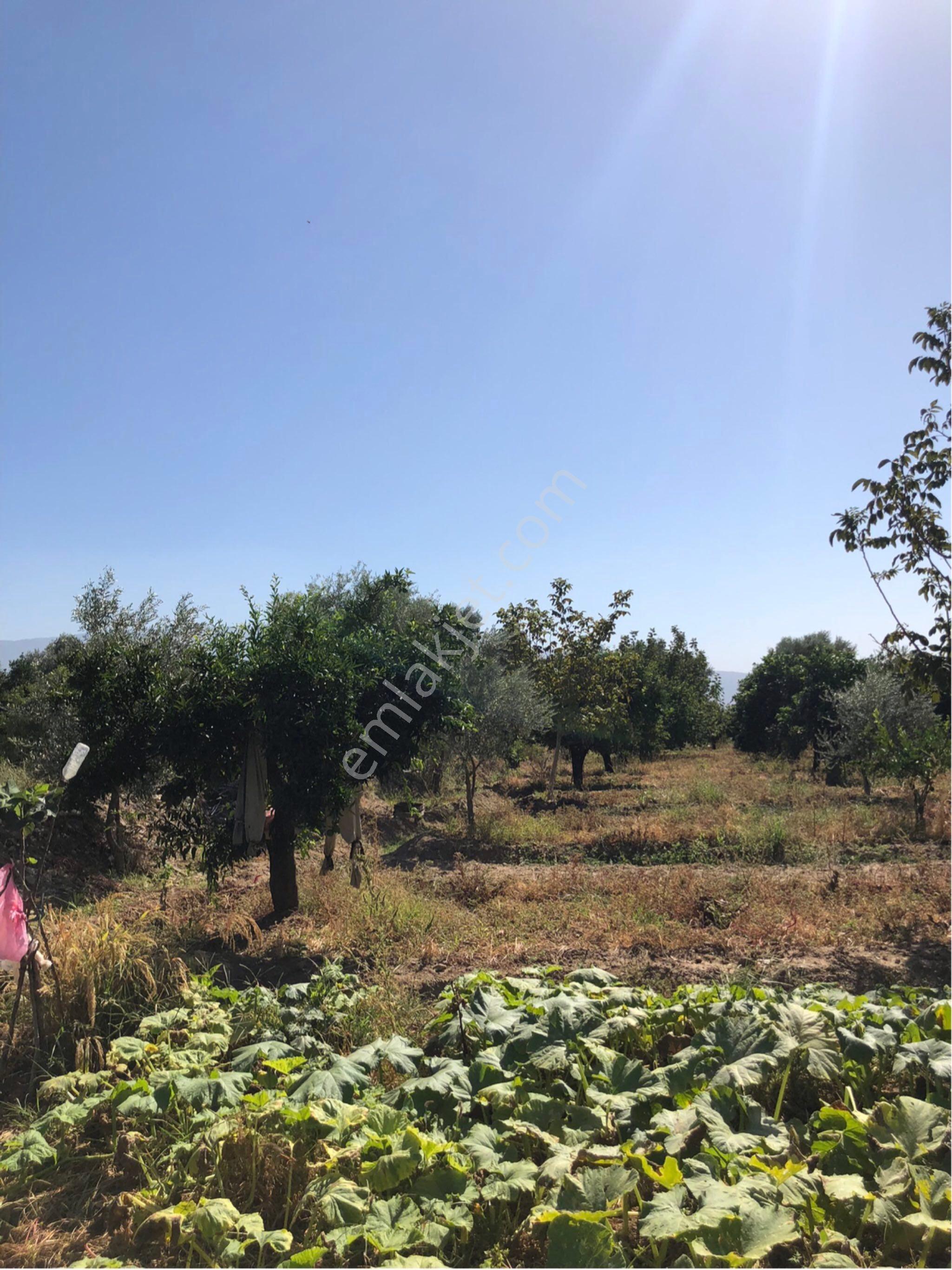 Sahibinden Köşe Konumda Acil Satılık Bahçe - Görsel 9
