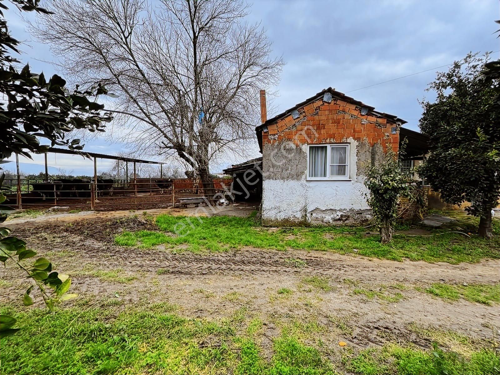 Asfalt Yol Üzerinde 2 Dönüm Bahçe İçerisinde Müstakil Ev