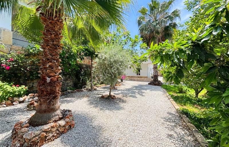 Yaylalıda 1.725 M2 Arsaya Sahip Tek Katlı 2+1 Müstakil Villa - Görsel 11