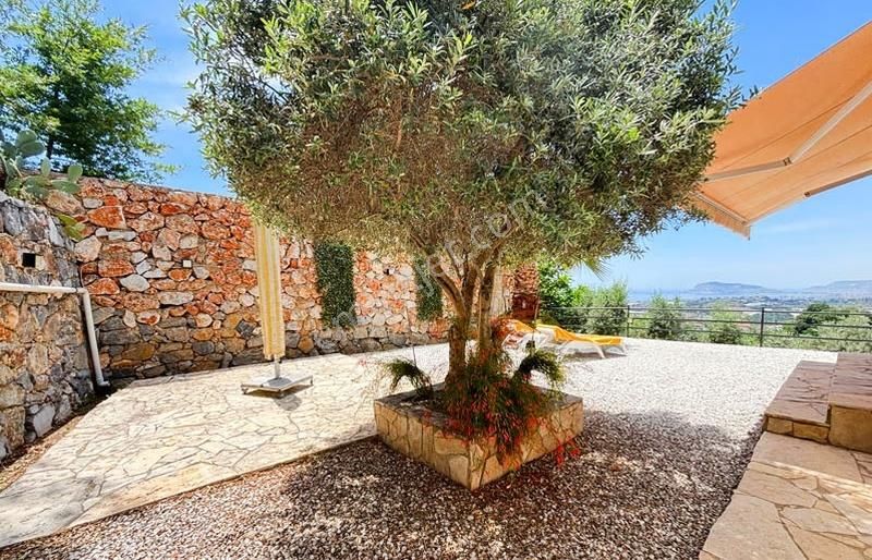 Yaylalıda 1.725 M2 Arsaya Sahip Tek Katlı 2+1 Müstakil Villa - Görsel 21