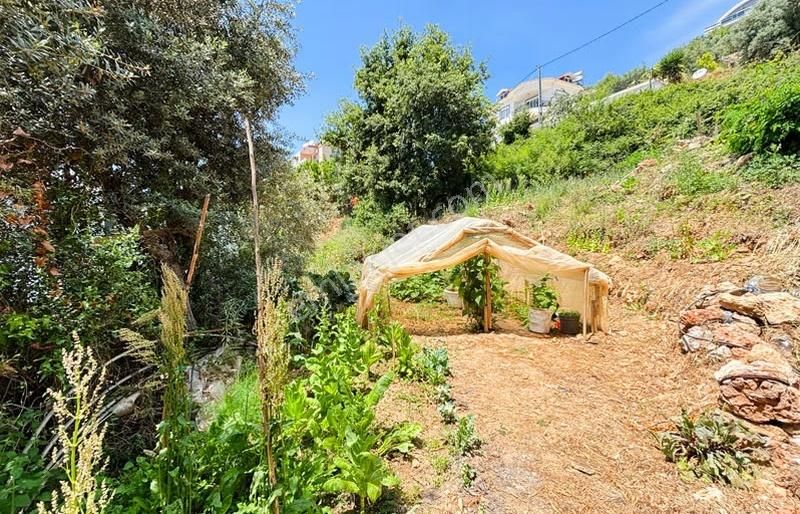 Yaylalıda 1.725 M2 Arsaya Sahip Tek Katlı 2+1 Müstakil Villa - Görsel 8