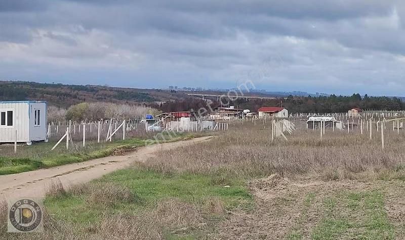Silivri Balabanda Satılık İmarlı İfrazlı 265 Metre Kelepir Arsa - Görsel 2
