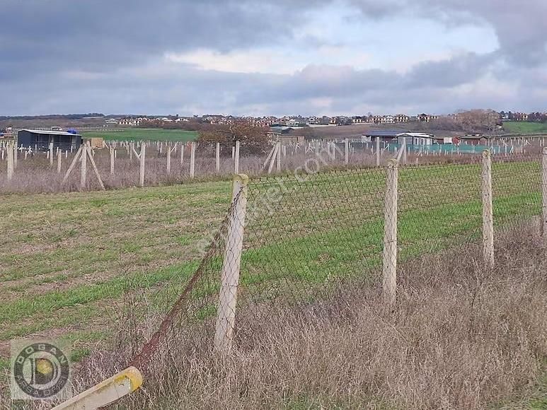 Silivri Balabanda Satılık İmarlı İfrazlı 265 Metre Kelepir Arsa - Görsel 13