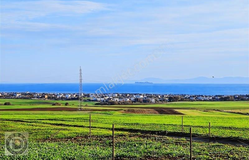 Marmaraereğlisi Çeşmelide Uygun Fiyatta Satılık Kelepir Arsalar - Görsel 34