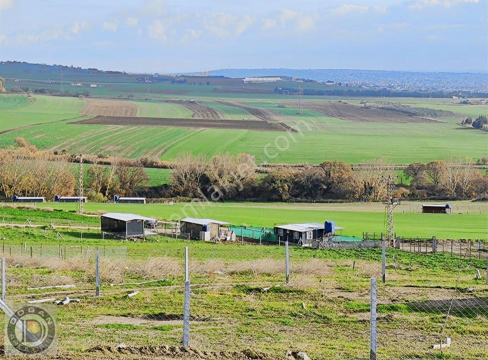 Marmaraereğlisi Çeşmelide Uygun Fiyatta Satılık Kelepir Arsalar - Görsel 26
