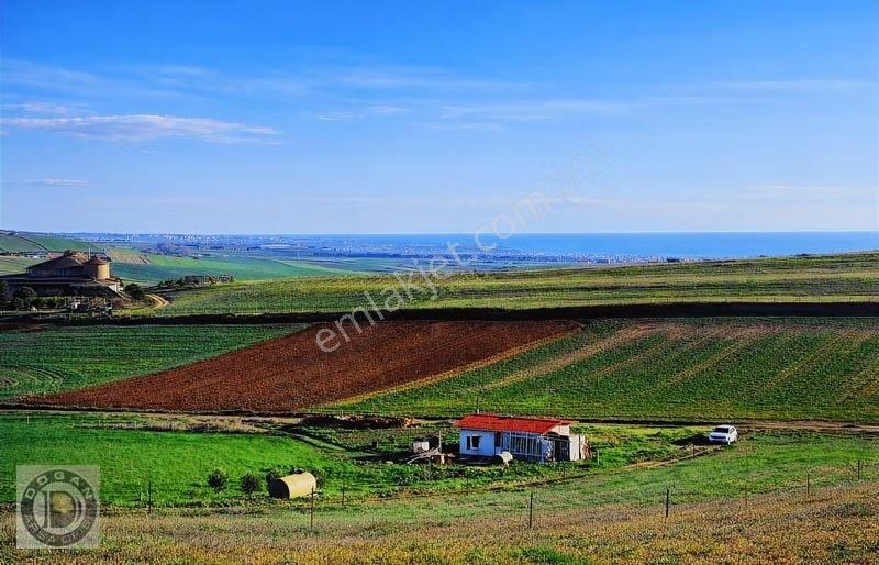 Marmaraereğlisi Çeşmelide Uygun Fiyatta Satılık Kelepir Arsalar - Görsel 28