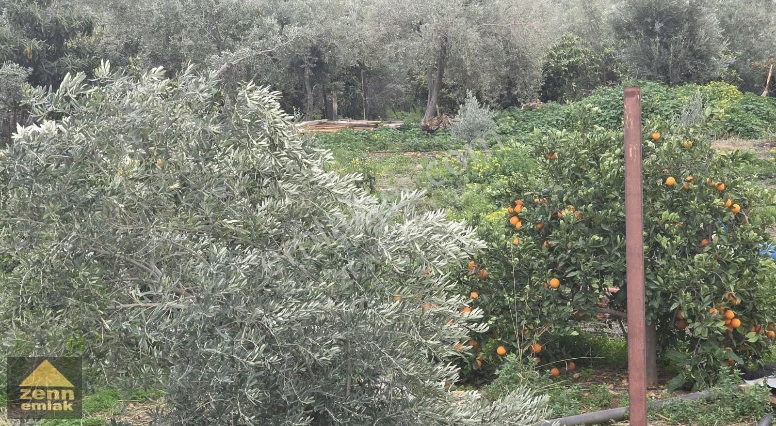 Mersin Erdemli'de Satılık 1900m² Tarla (manzaralı, Yatırımlık) - Görsel 16