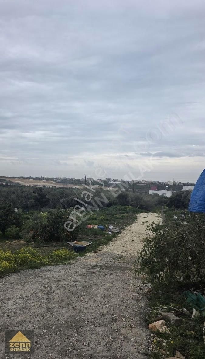 Mersin Erdemli'de Satılık 1900m² Tarla (manzaralı, Yatırımlık) - Görsel 12