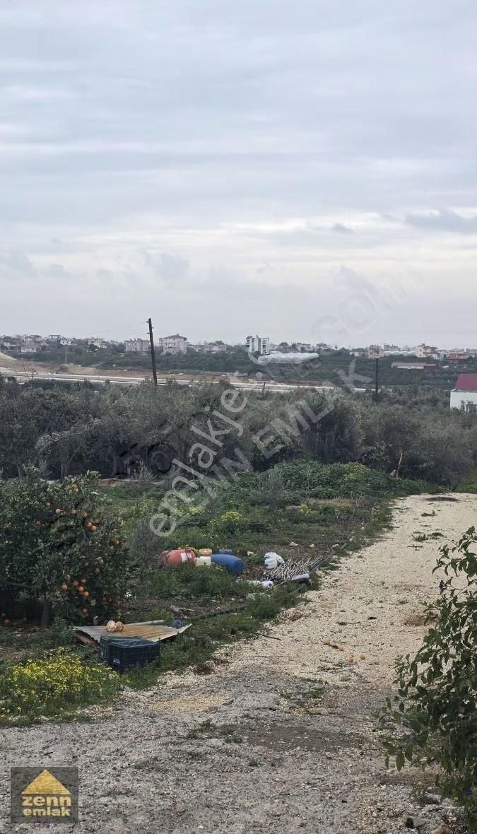 Mersin Erdemli'de Satılık 1900m² Tarla (manzaralı, Yatırımlık) - Görsel 8