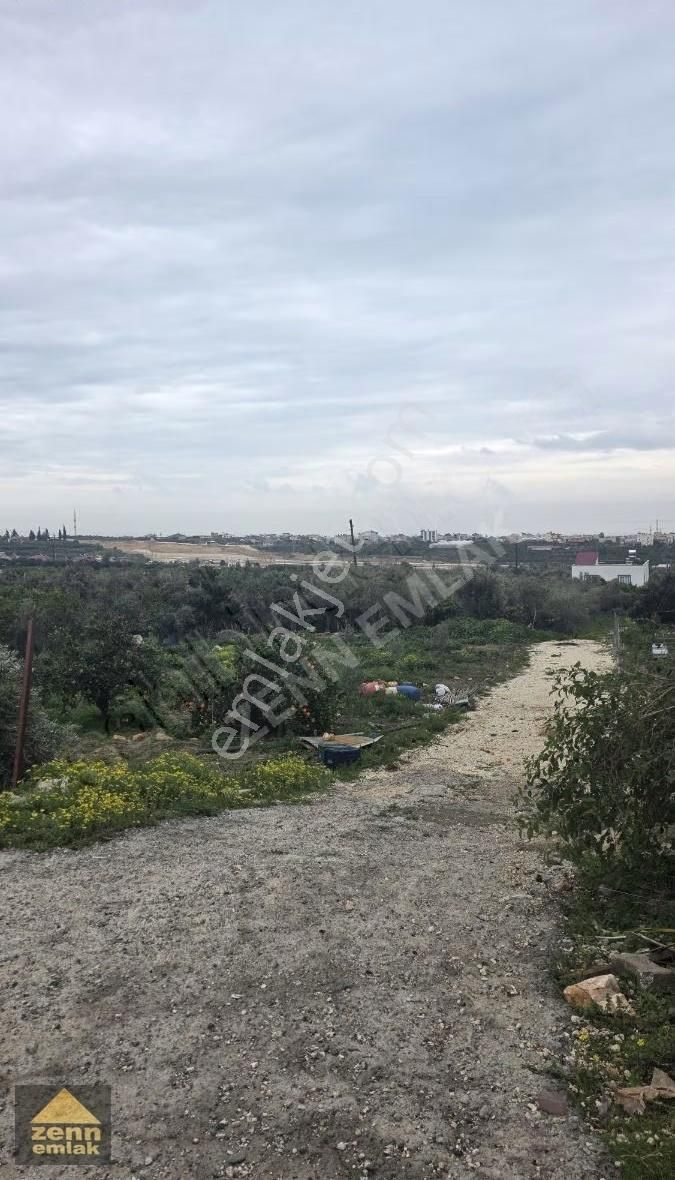 Mersin Erdemli'de Satılık 1900m² Tarla (manzaralı, Yatırımlık) - Görsel 9