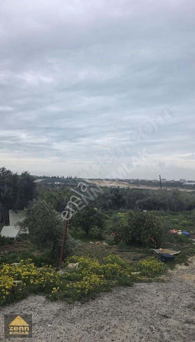 Mersin Erdemli'de Satılık 1900m² Tarla (manzaralı, Yatırımlık) - Görsel 6