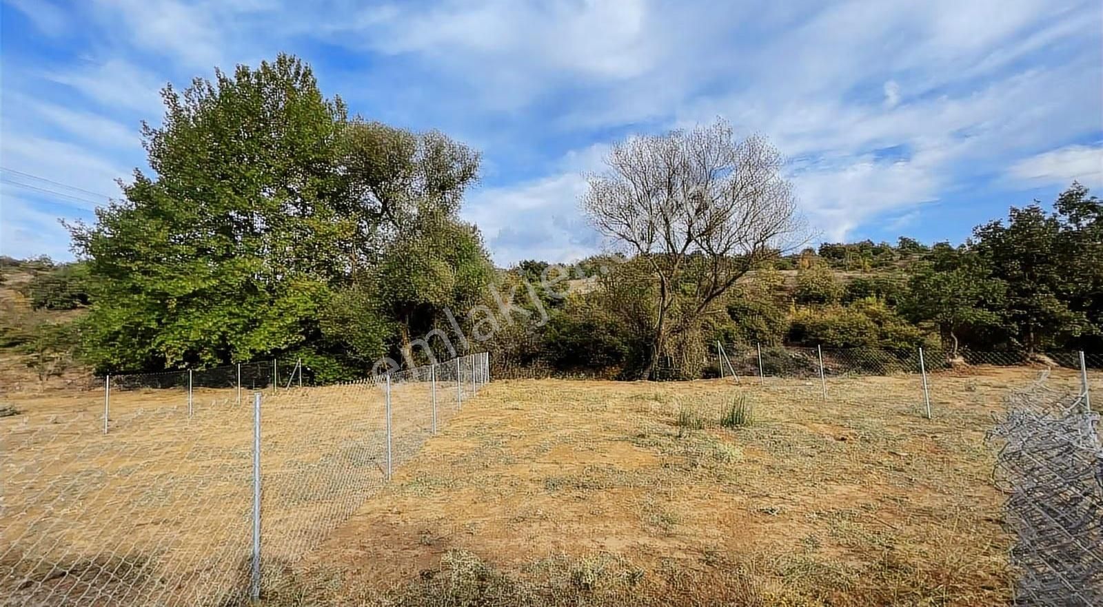 Mollafenari De 225 M2 Dere Kenarı Yeri Belli Cevrili Tarla - Görsel 13