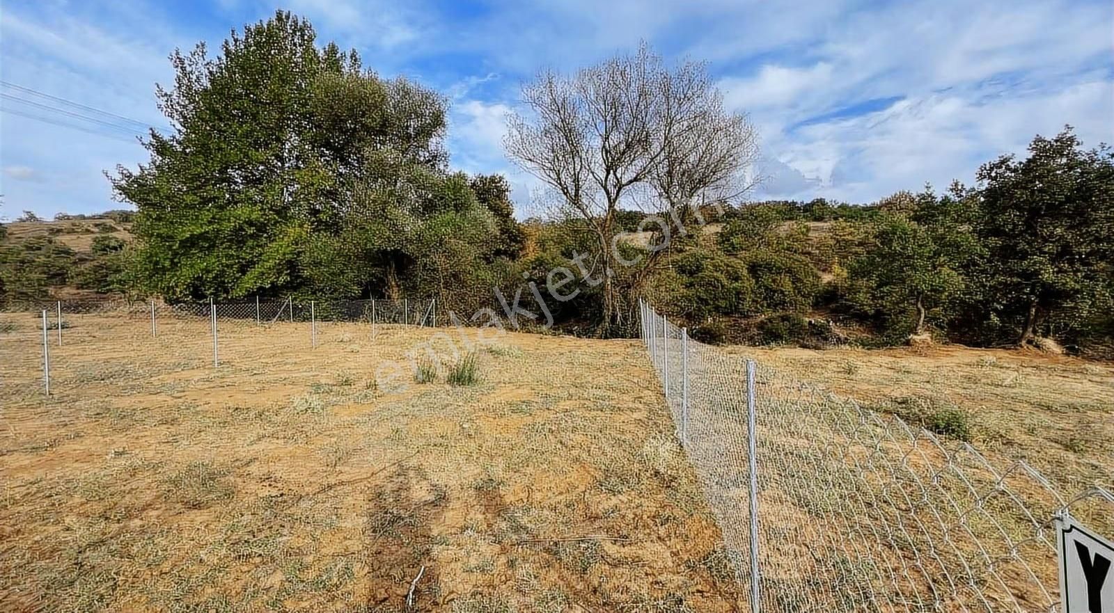 Mollafenari De 225 M2 Dere Kenarı Yeri Belli Cevrili Tarla - Görsel 11