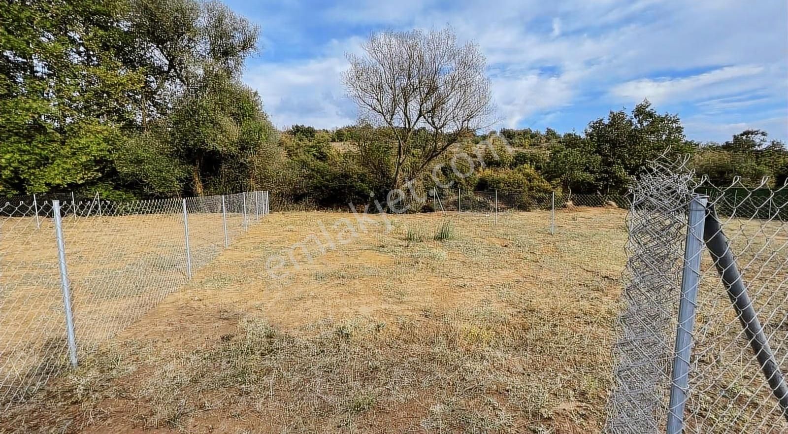 Mollafenari De 225 M2 Dere Kenarı Yeri Belli Cevrili Tarla - Görsel 2