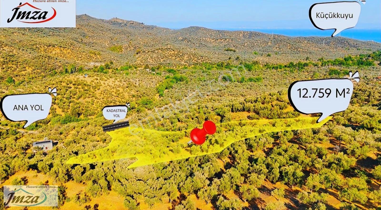Çanakkale Ayvacık Adatepe Yola Cephe Satılık 12.759 M² Zeytinlik - Görsel 8
