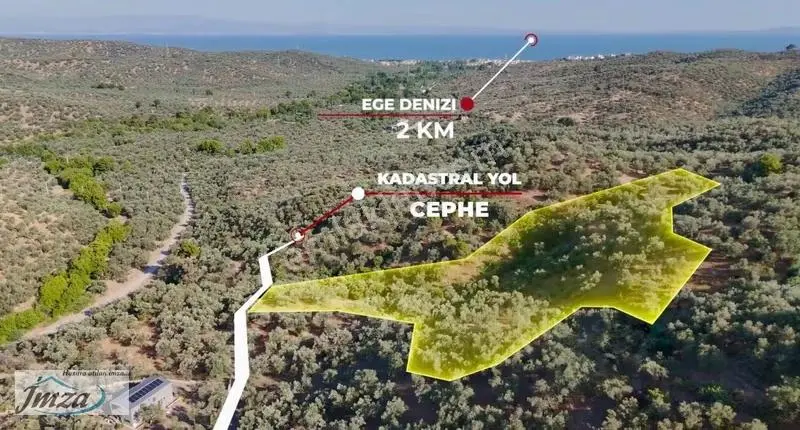 Çanakkale Ayvacık Adatepe Yola Cephe Satılık 12.759 M² Zeytinlik - Görsel 5