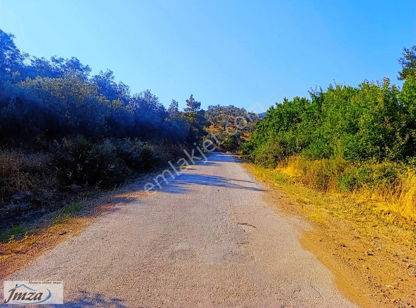 Çanakkale Ayvacık Adatepe Yola Cephe Satılık 12.759 M² Zeytinlik - Görsel 7