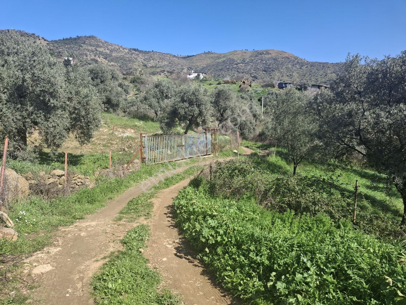 İzmir Tire Akar Emlak Tan, Bayındır Yeşilova Da Arsa - Görsel 24