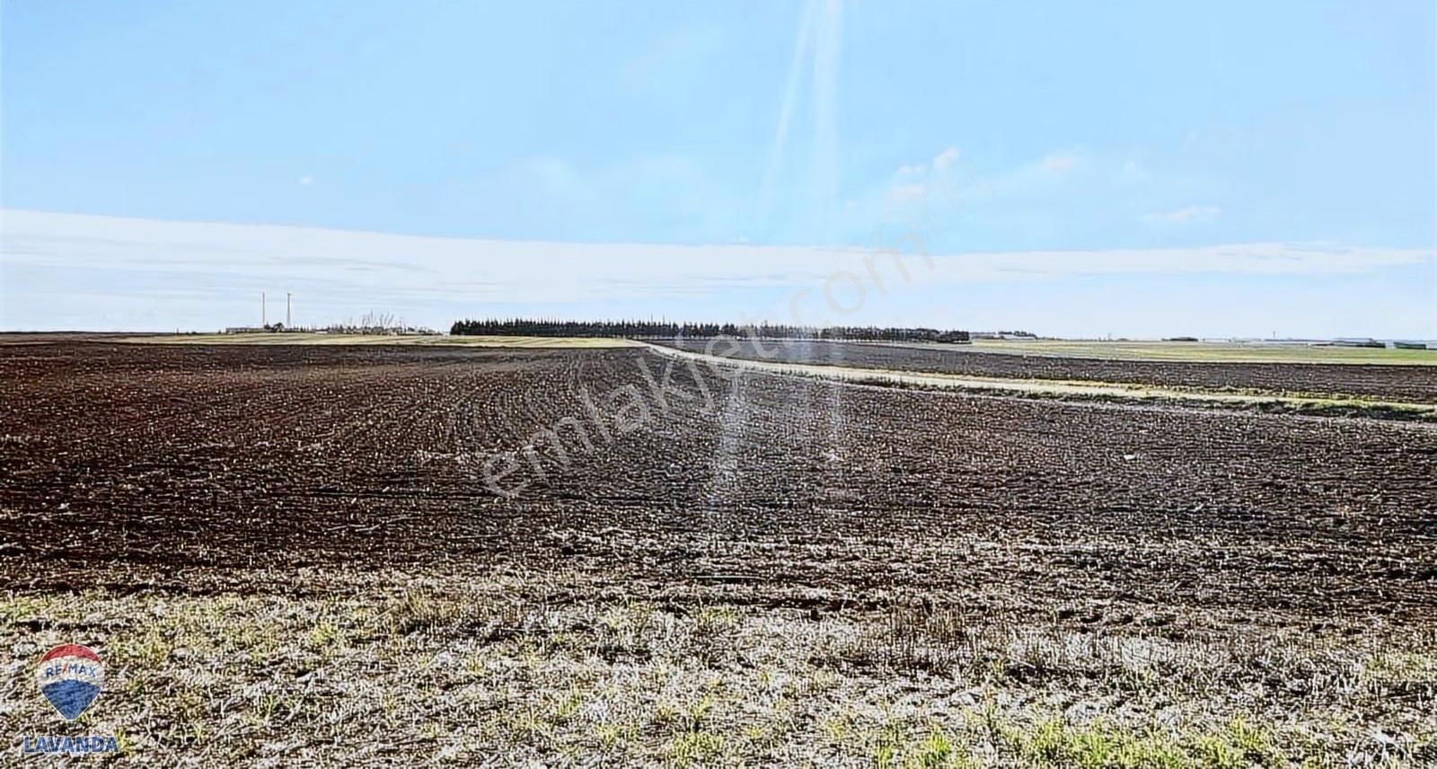 Kırklareli Lüleburgaz Akçaköyde Çiftlik Yapımına Uygun Arazi - Görsel 7