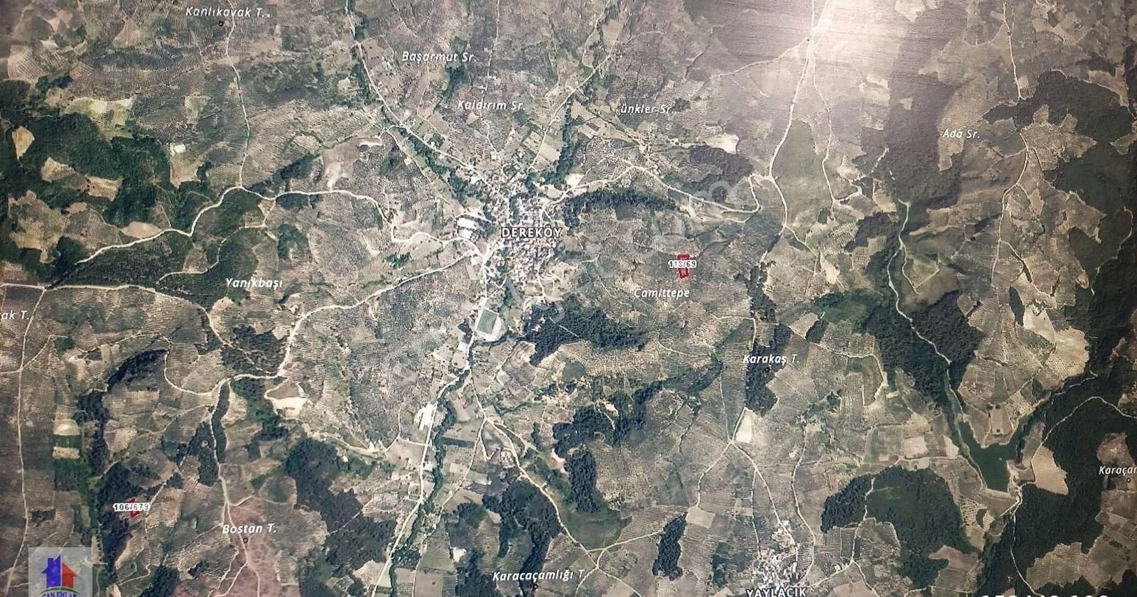 Mudanya Dereköy Mah'de Satılık Zeytinlik 3 Dnm Araba İçine Girer Zeytin Ağaçları Ve Ful Manzara - Görsel 14