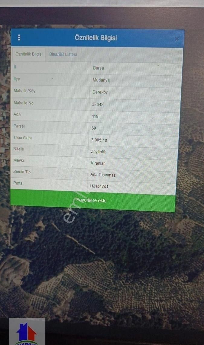 Mudanya Dereköy Mah'de Satılık Zeytinlik 3 Dnm Araba İçine Girer Zeytin Ağaçları Ve Ful Manzara - Görsel 7