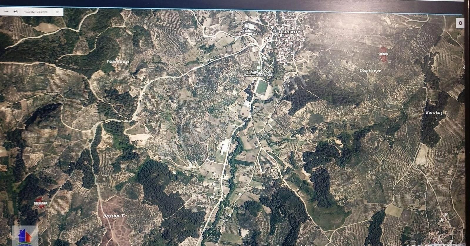 Mudanya Dereköy Mah'de Satılık Zeytinlik 3 Dnm Araba İçine Girer Zeytin Ağaçları Ve Ful Manzara - Görsel 15
