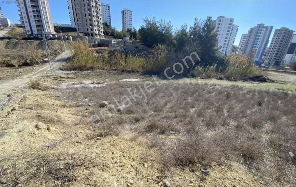 Sarıçam Çınarlı Villa Yapimina Uygun Projesi Hazir Tek Tapu Arsa - Görsel 11