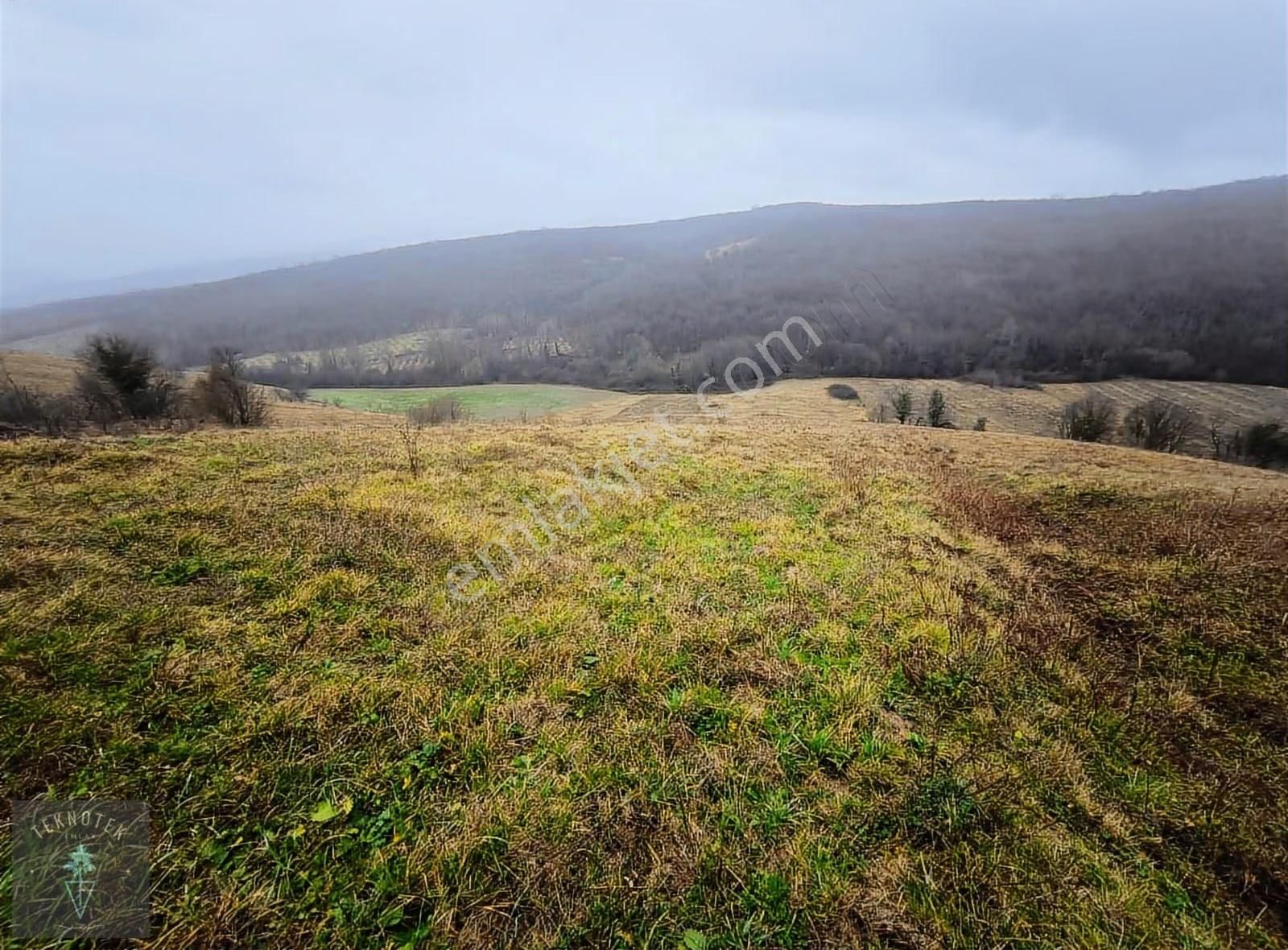 Kocaeli Kandıra Akçaova'da 1510 M² Uygun Fiyata Satılık - Görsel 19