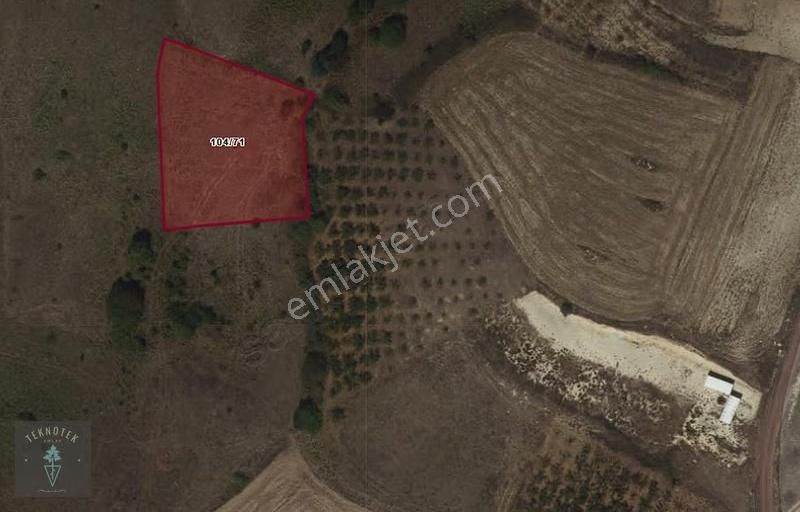 Kocaeli Kandıra Akçaova'da 1510 M² Uygun Fiyata Satılık - Görsel 4