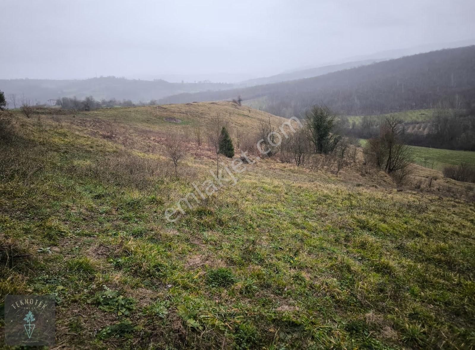 Kocaeli Kandıra Akçaova'da 1510 M² Uygun Fiyata Satılık - Görsel 8