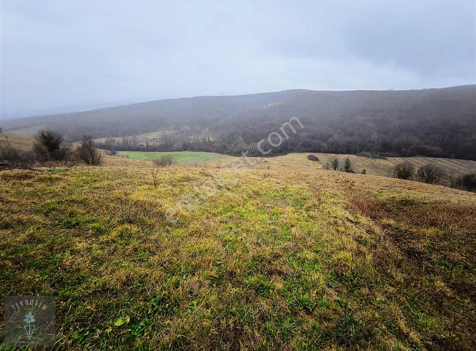 Kocaeli Kandıra Akçaova'da 1510 M² Uygun Fiyata Satılık - Görsel 16