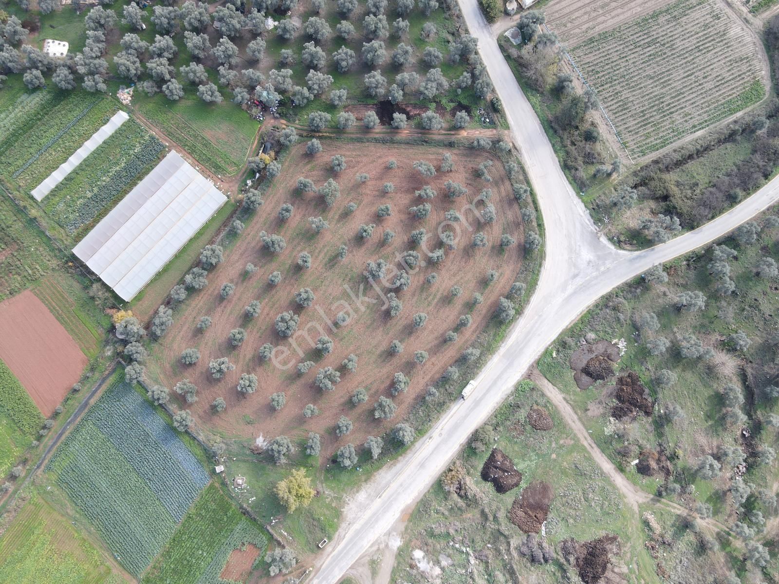 Milas/kafaca’da Yola Sıfır Tarla - Görsel 15