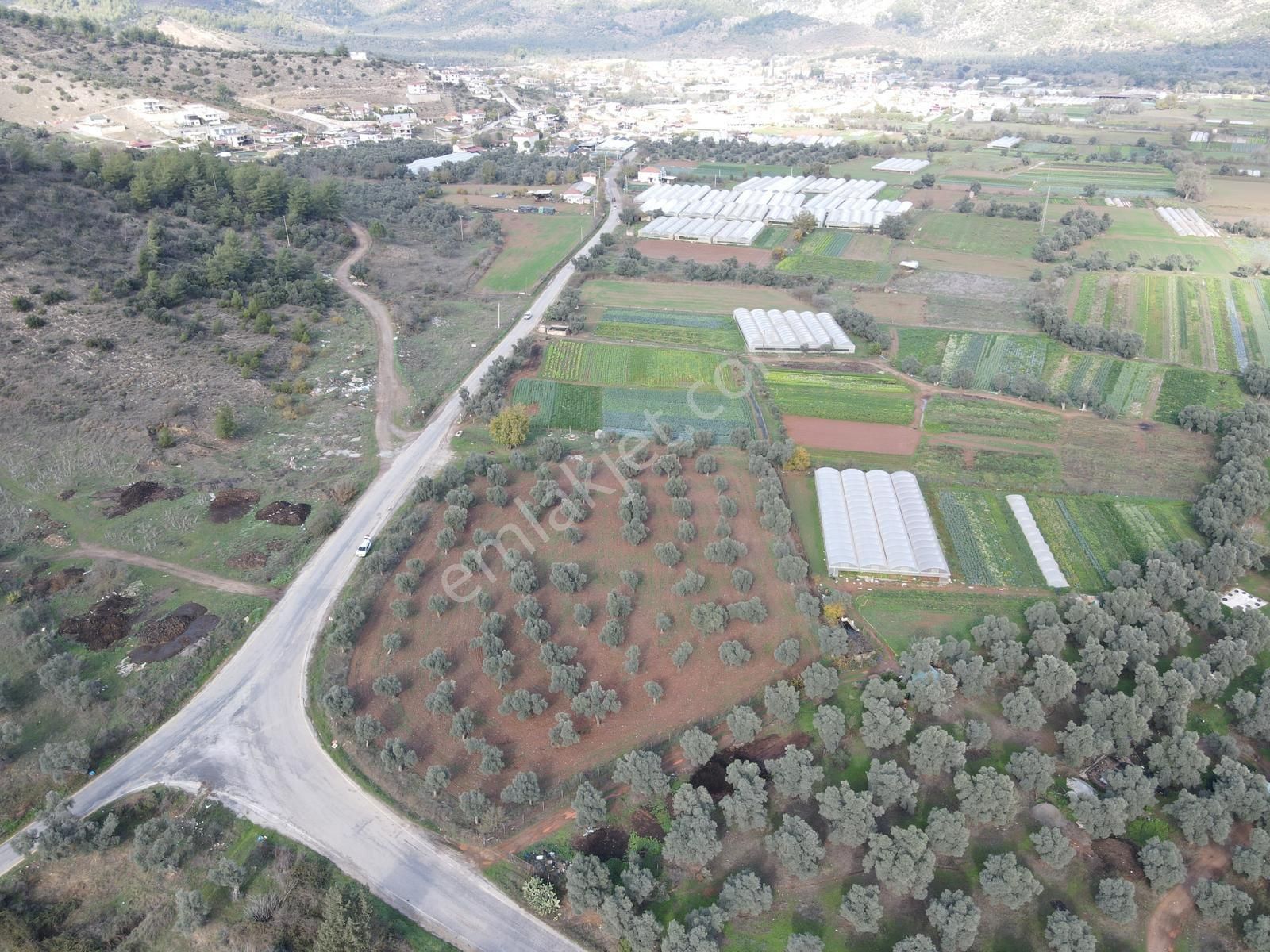 Milas/kafaca’da Yola Sıfır Tarla - Görsel 5