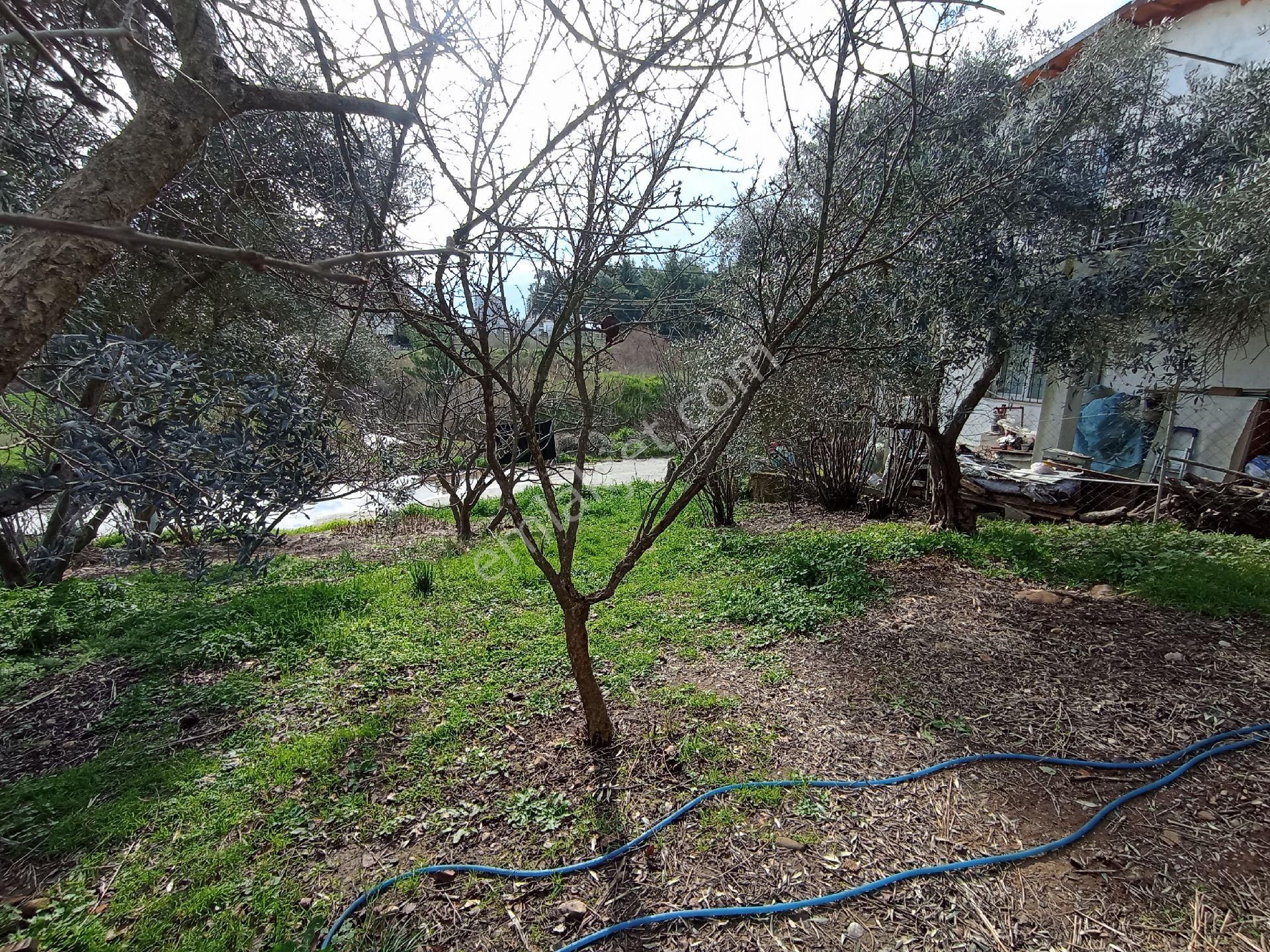 Ayrancılar Merkezde 447 M² Arsa İçinde Satılık Mustakil Ev - Görsel 4