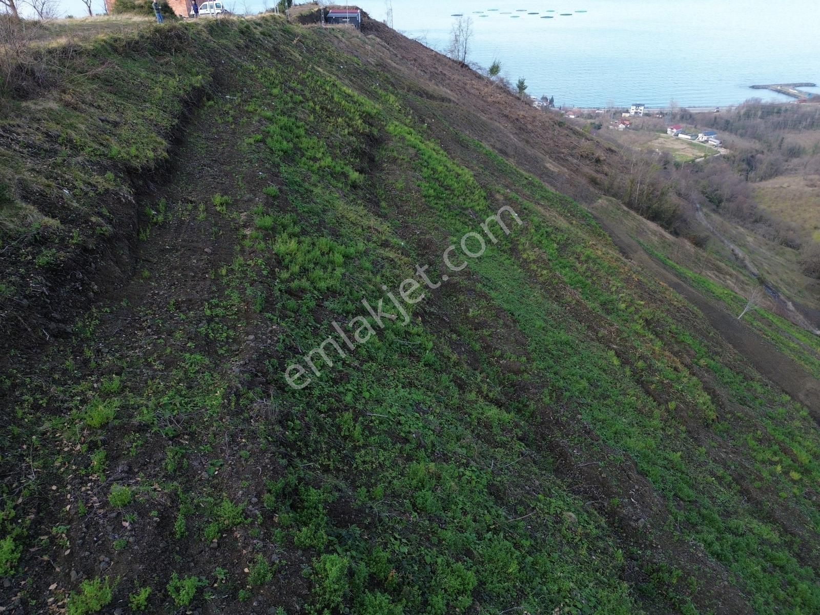 Trabzon Çarşıbaşı Kaleköy'de Satılık Deniz Manzaralı Arsa - Görsel 18