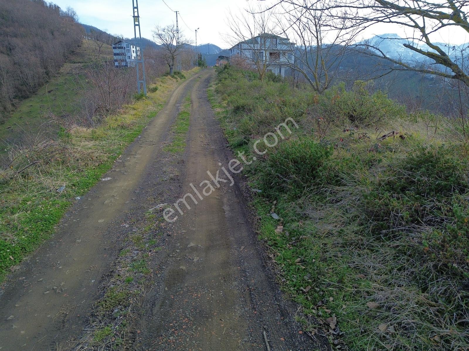 Trabzon Çarşıbaşı Kaleköy'de Satılık Deniz Manzaralı Arsa - Görsel 16