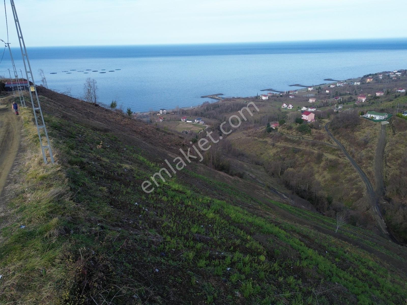 Trabzon Çarşıbaşı Kaleköy'de Satılık Deniz Manzaralı Arsa - Görsel 15