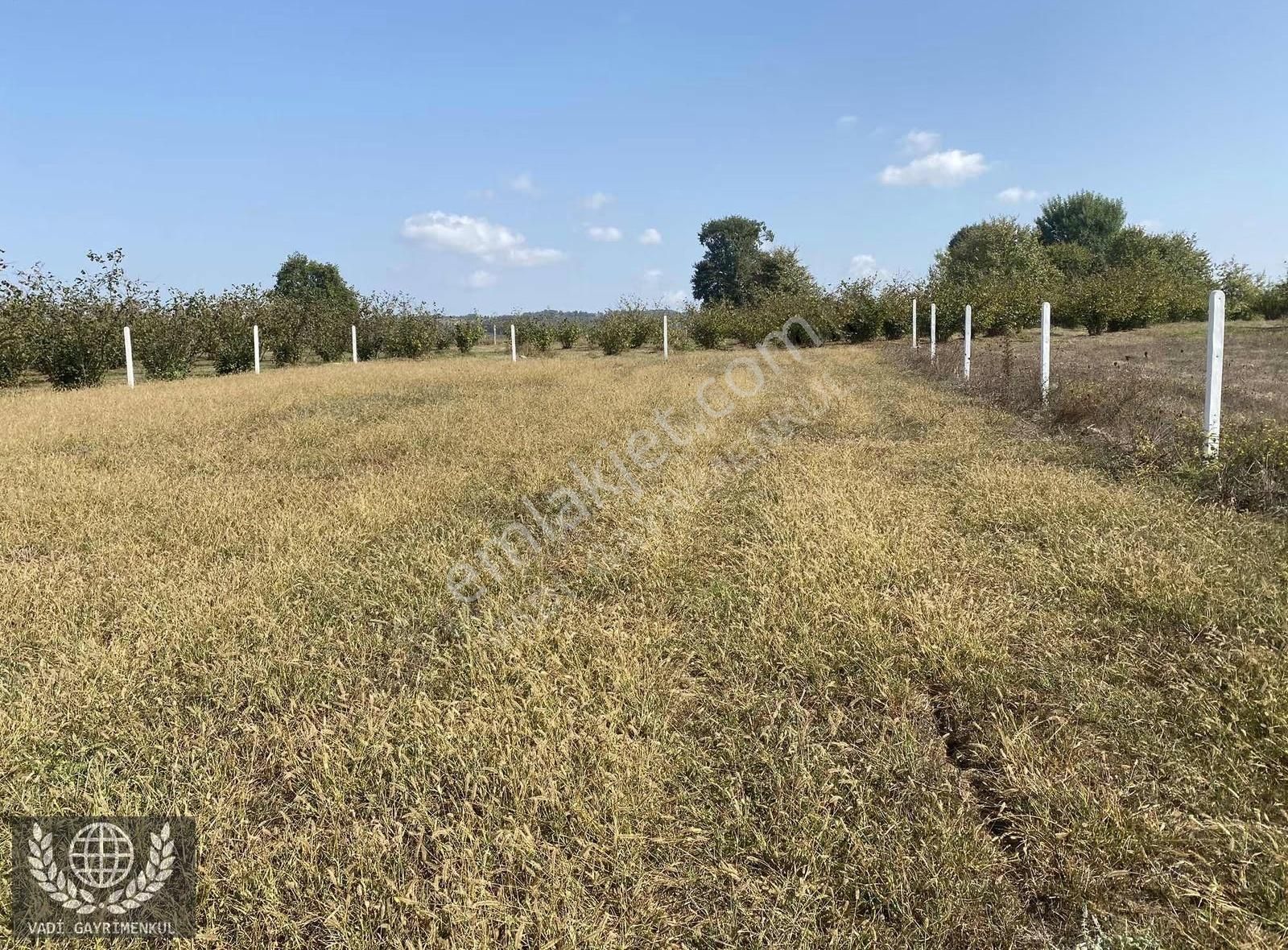 Kandıra Karadivan'da Satılık 2750m² Müstakil Tapulu Arazi - Görsel 3