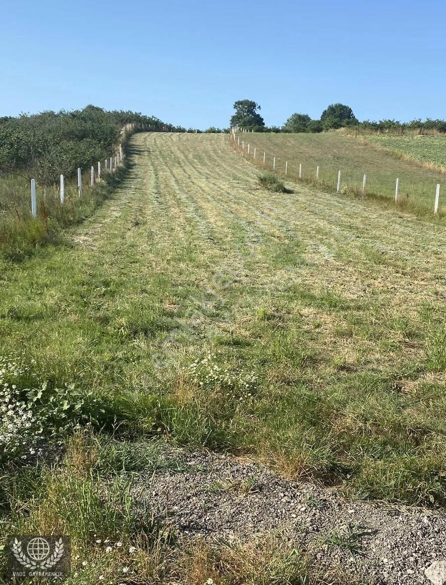 Kandıra Karadivan'da Satılık 2750m² Müstakil Tapulu Arazi - Görsel 8