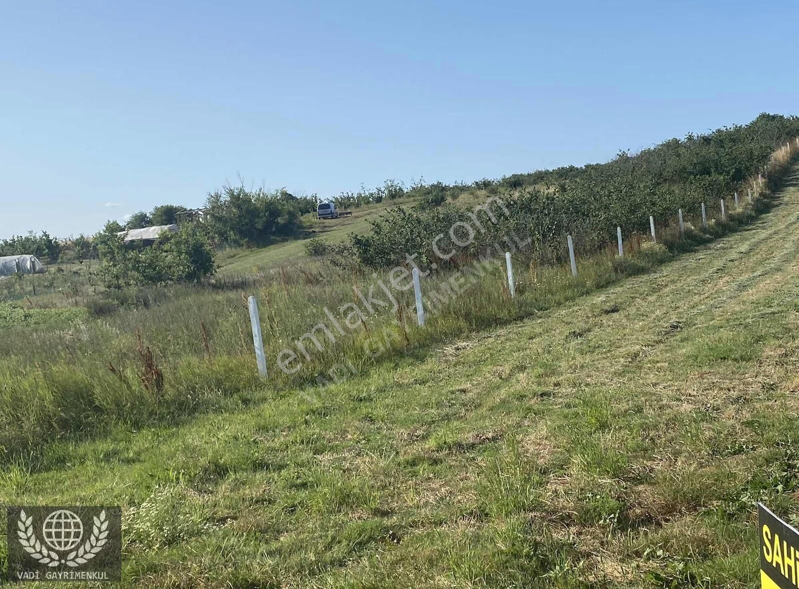 Kandıra Karadivan'da Satılık 2750m² Müstakil Tapulu Arazi - Görsel 4