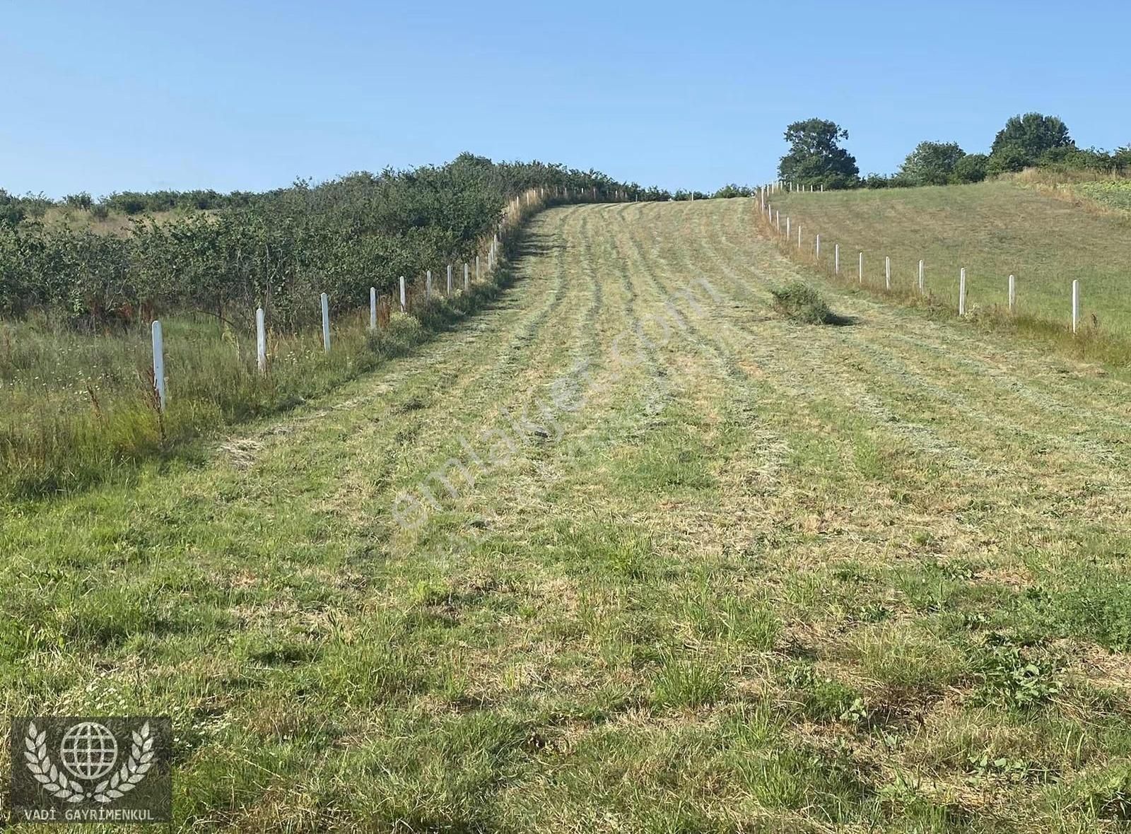 Kandıra Karadivan'da Satılık 2750m² Müstakil Tapulu Arazi - Görsel 10