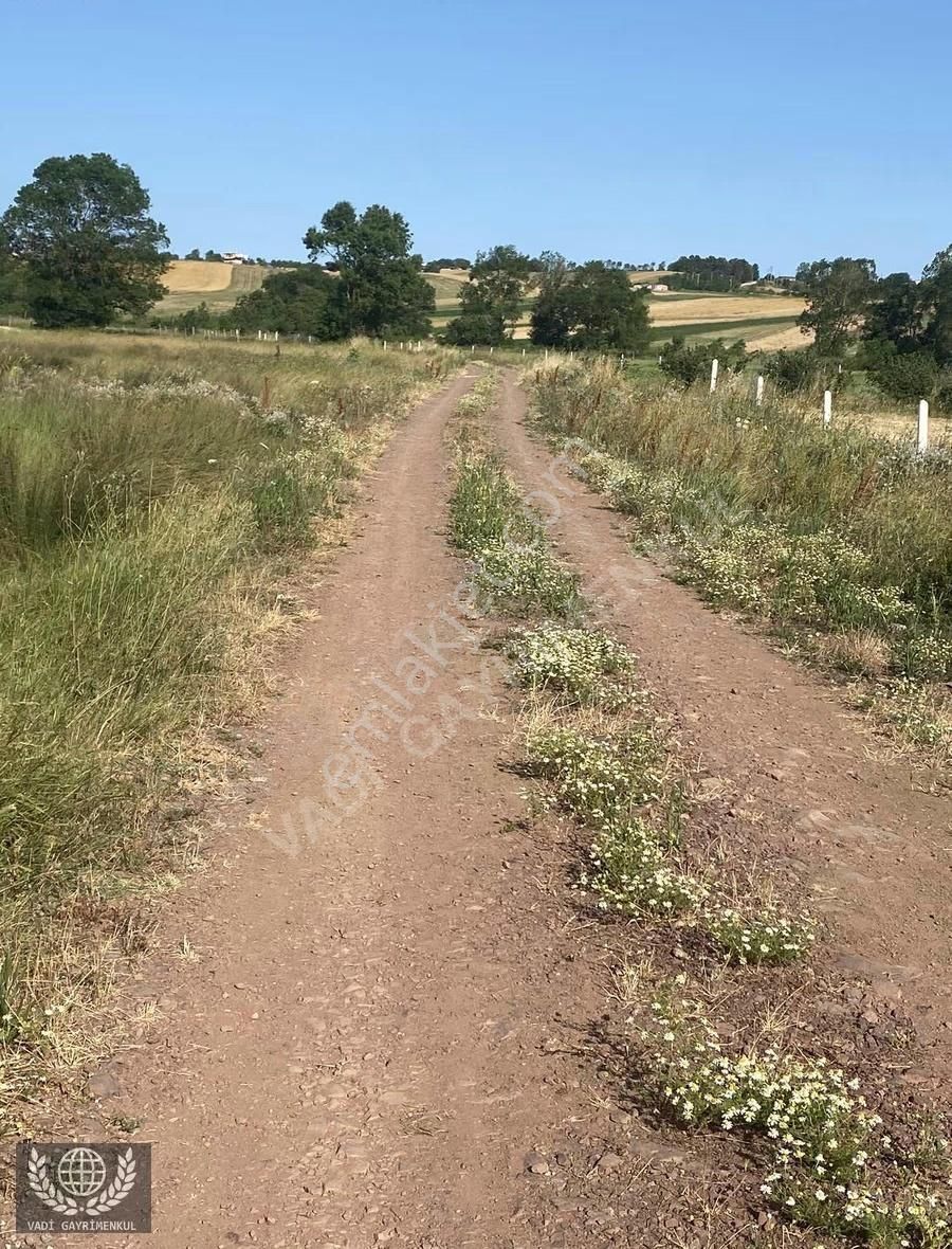 Kandıra Karadivan'da Satılık 2750m² Müstakil Tapulu Arazi - Görsel 7