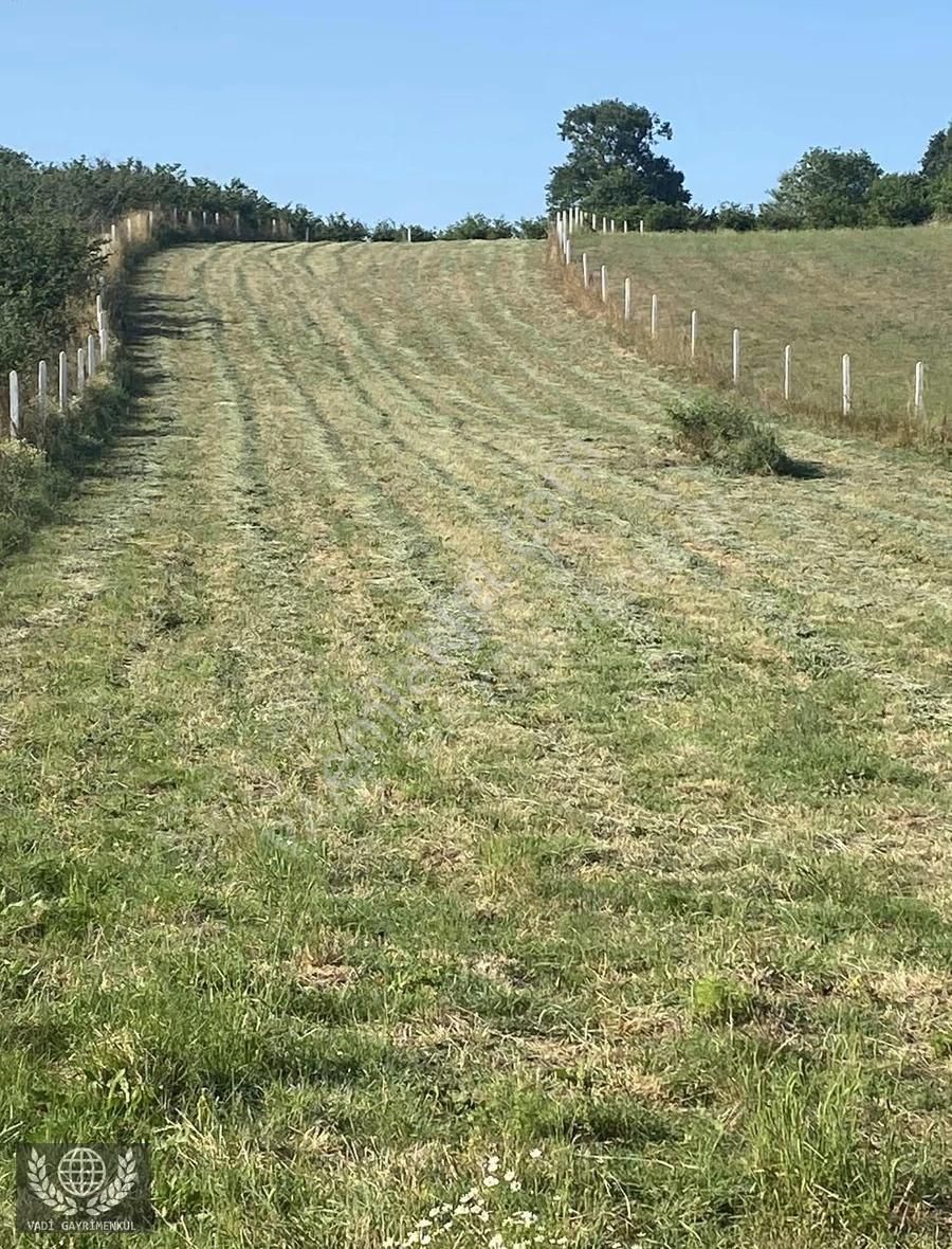 Kandıra Karadivan'da Satılık 2750m² Müstakil Tapulu Arazi - Görsel 11