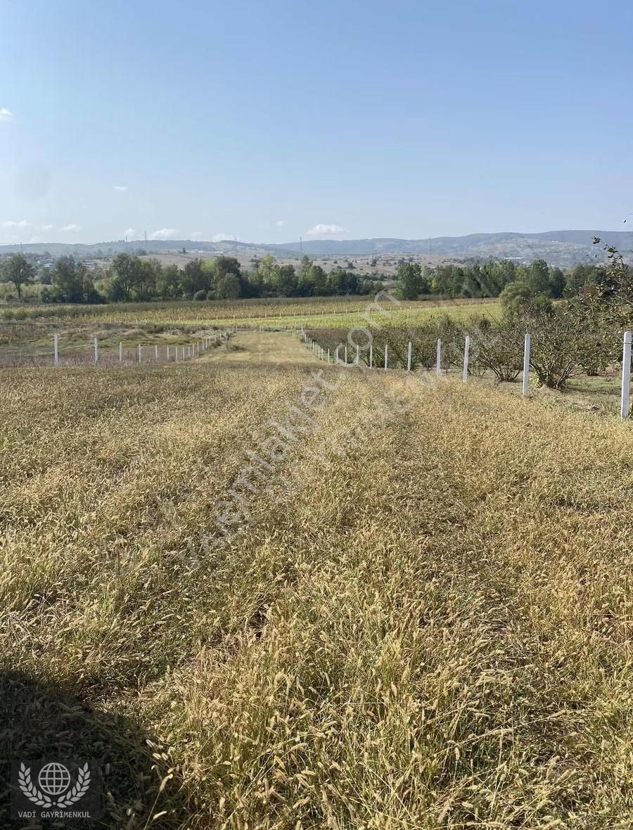 Kandıra Karadivan'da Satılık 2750m² Müstakil Tapulu Arazi - Görsel 9