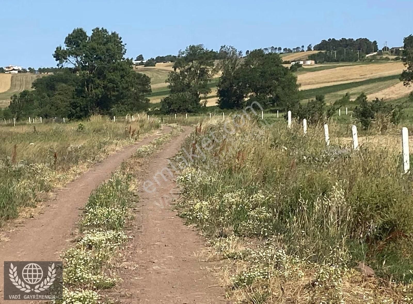 Kandıra Karadivan'da Satılık 2750m² Müstakil Tapulu Arazi - Görsel 2