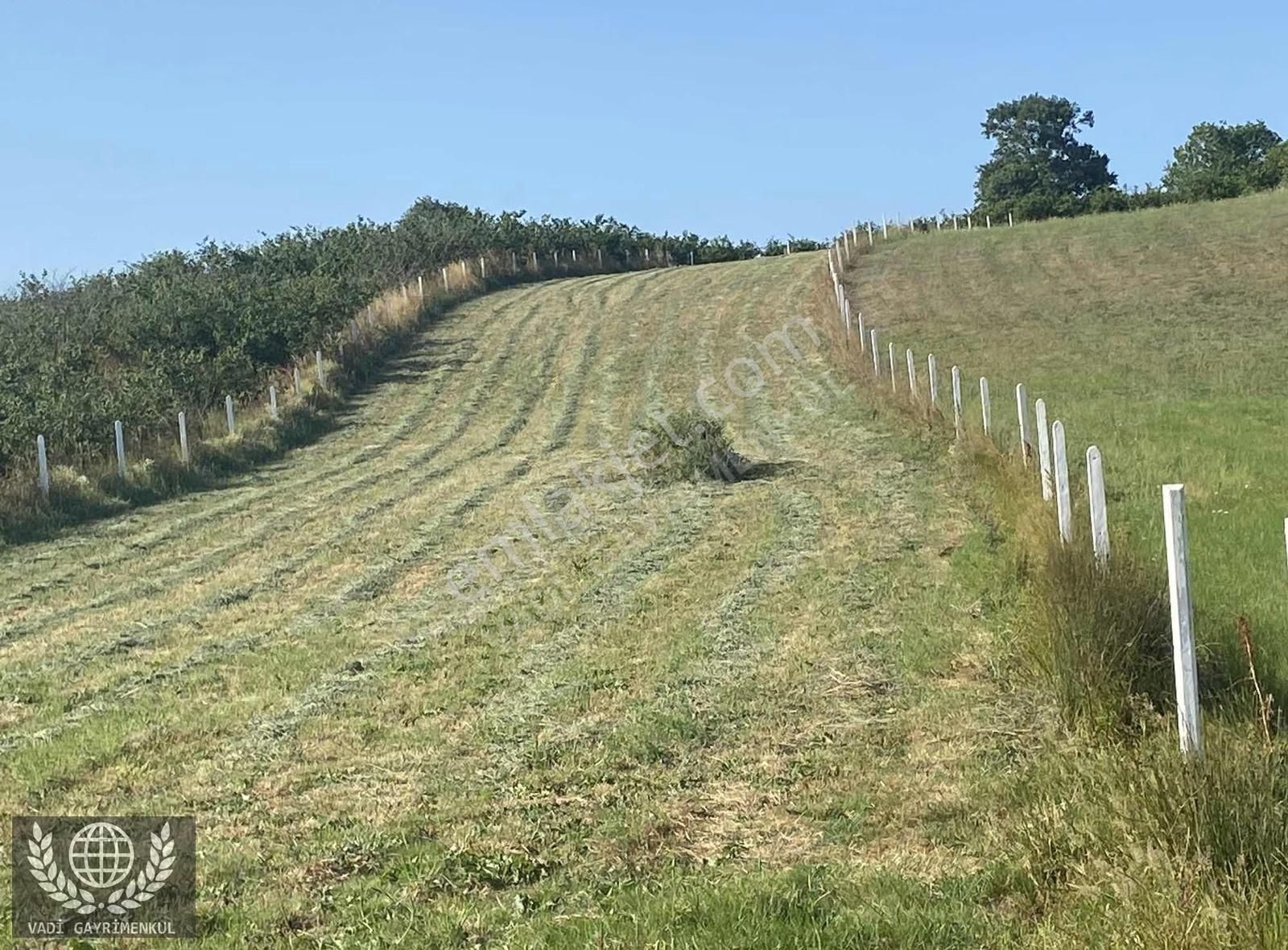 Kandıra Karadivan'da Satılık 2750m² Müstakil Tapulu Arazi