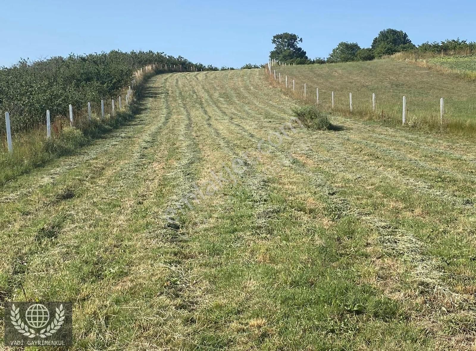 Kandıra Karadivan'da Satılık 2750m² Müstakil Tapulu Arazi - Görsel 5