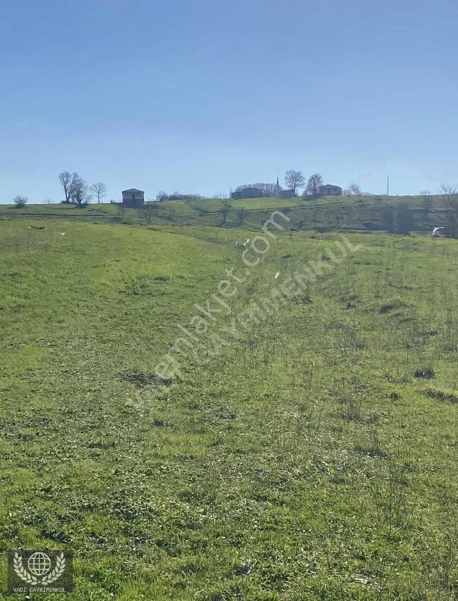 Kandıra Kubuzcu Köyü'nde Yola Cepheli Satılık Arsa - Görsel 5