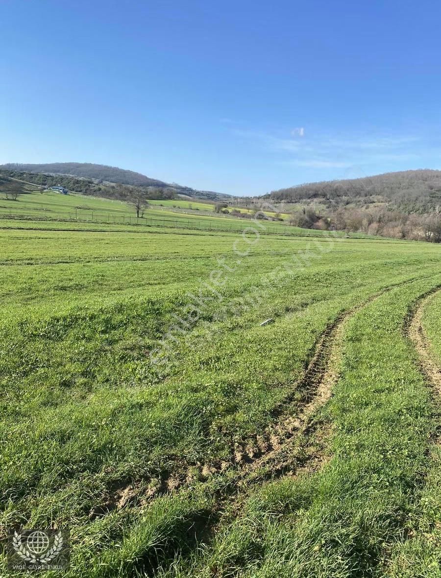 Kandıra Kubuzcu Köyü'nde Yola Cepheli Satılık Arsa - Görsel 2